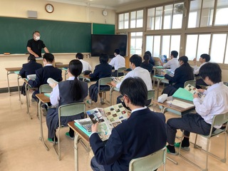 ビ基４
